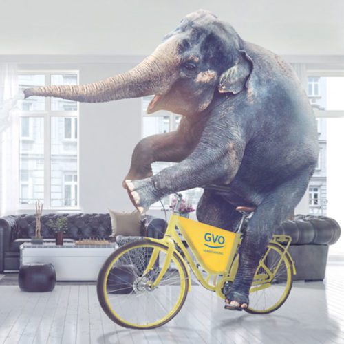 Werbekampagne GVO