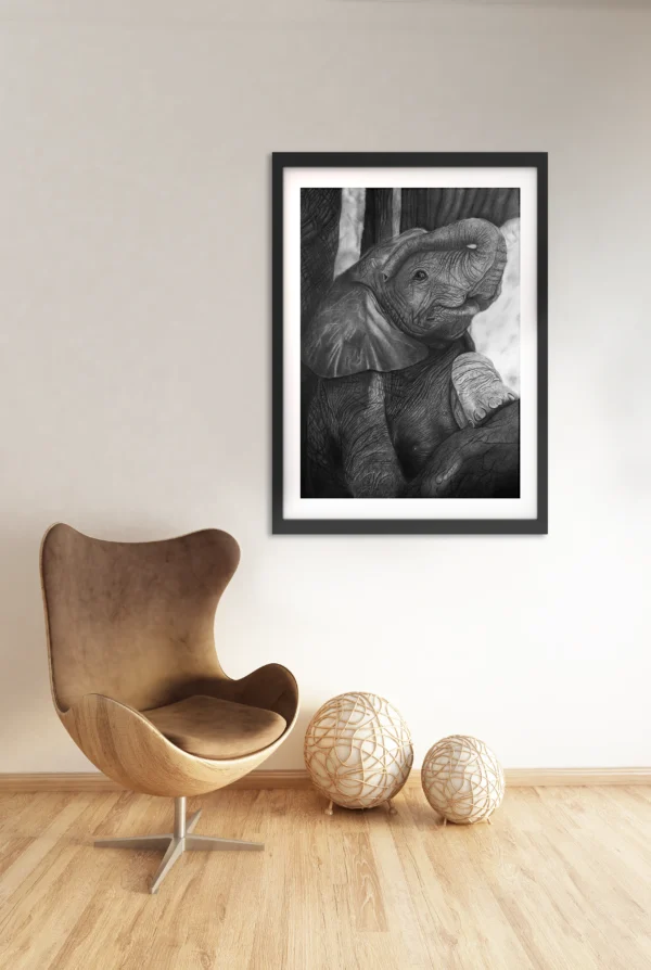 Kunstdruck „INNOCENCE“ von Elena Weiskar in schwarzem Rahmen – Visualisierung der Bleistift- und Kohlezeichnung eines Elefantenbabys in moderner Wohnraumszene.